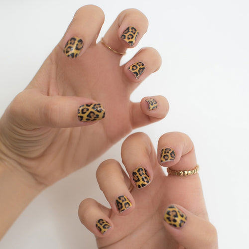Big cats are here to play. Jaguar on your fingertips. It’s noticeable and fashionable.