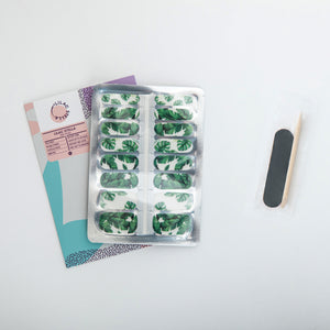 Love your plants and take the indoors outdoors with this Monstera print set and cool transparent background.